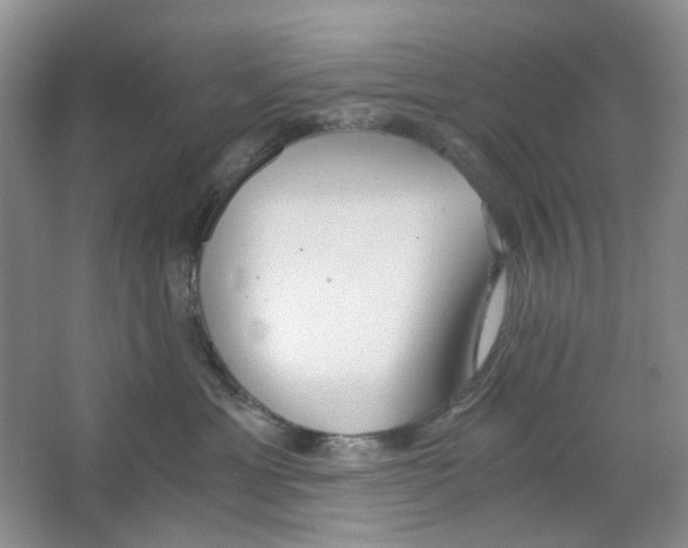 X0000063470429200602172000