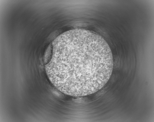 X0000063470430200602172000