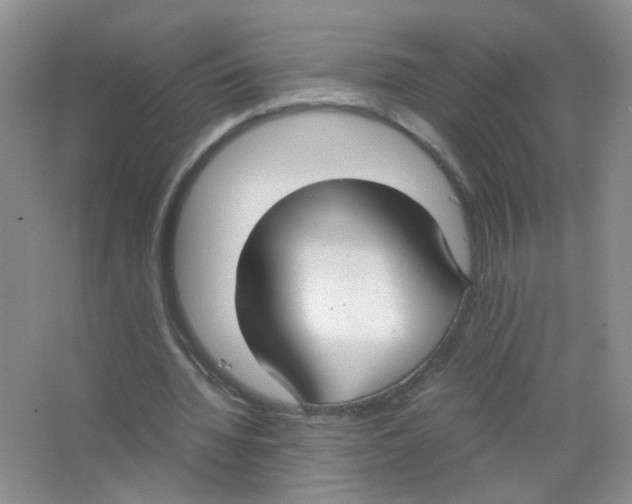 X0000063470436200602171959