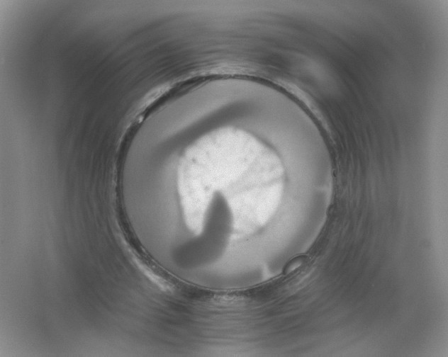 X0000063470437200602171959