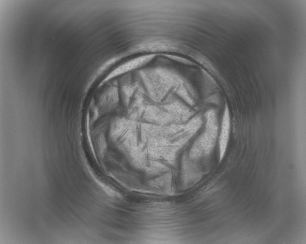 X0000063470438200602171959