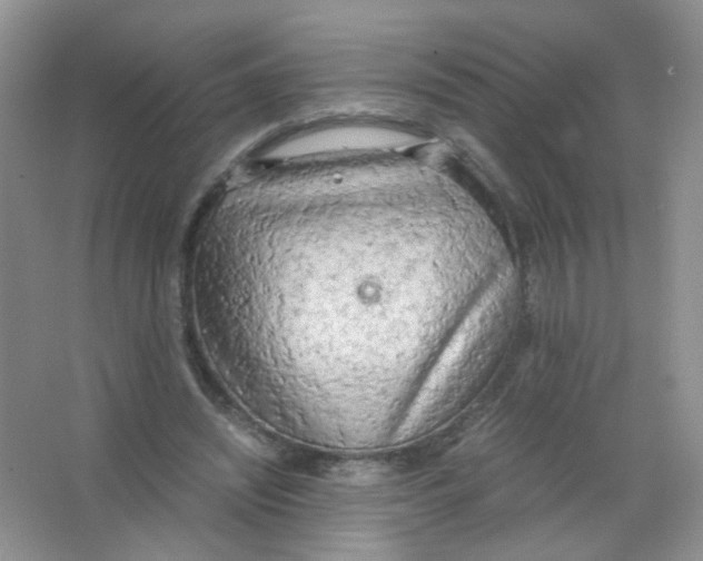 X0000063470444200602172000