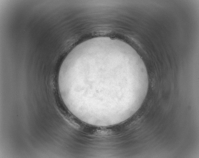 X0000063470455200602172000