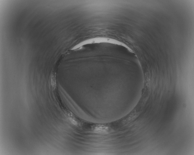 X0000063470471200602172000