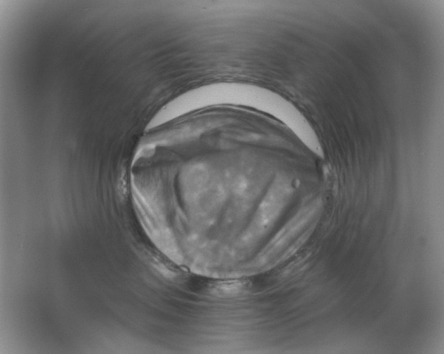 X0000063470479200602172000