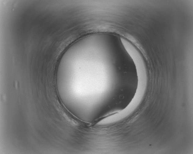 X0000063470481200602171959