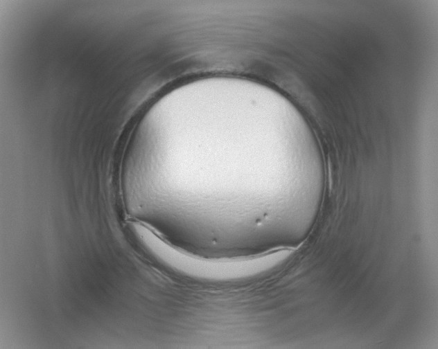 X0000063470483200602171959