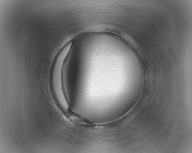 X0000063470485200602171959