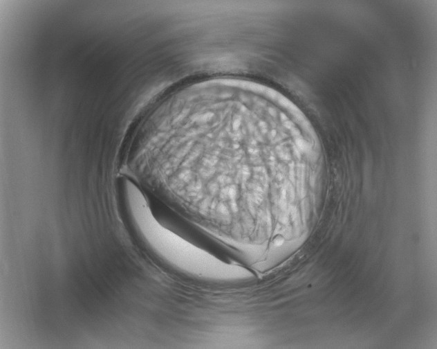 X0000063470487200602171959