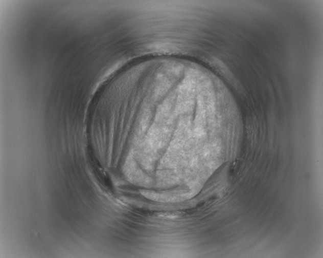 X0000063470488200602171959