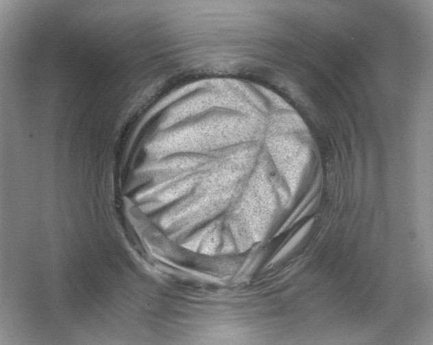X0000063470493200602171959