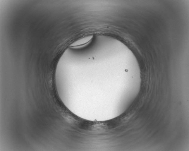 X0000063470505200602171959