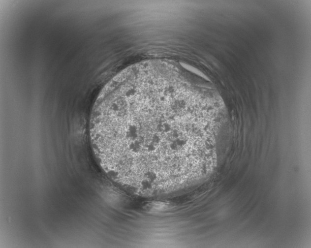 X0000063470507200602171959