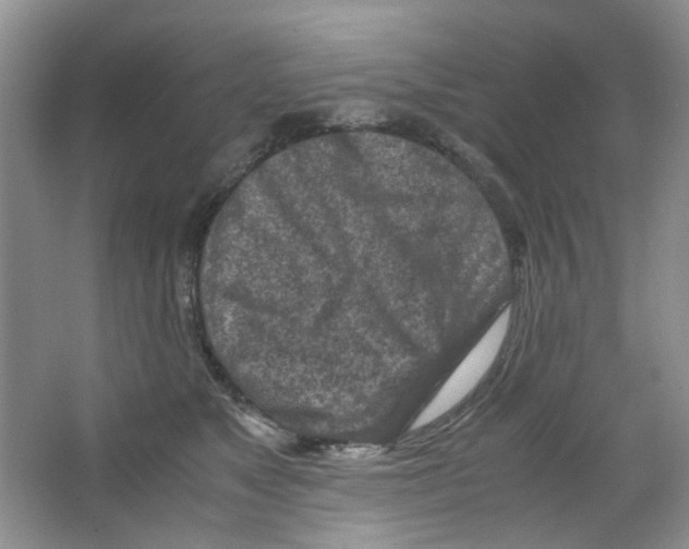 X0000063470517200602171959