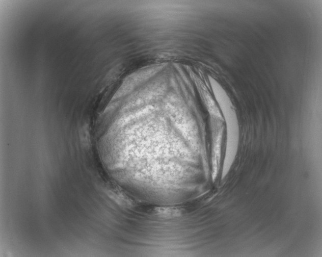 X0000063470520200602171959