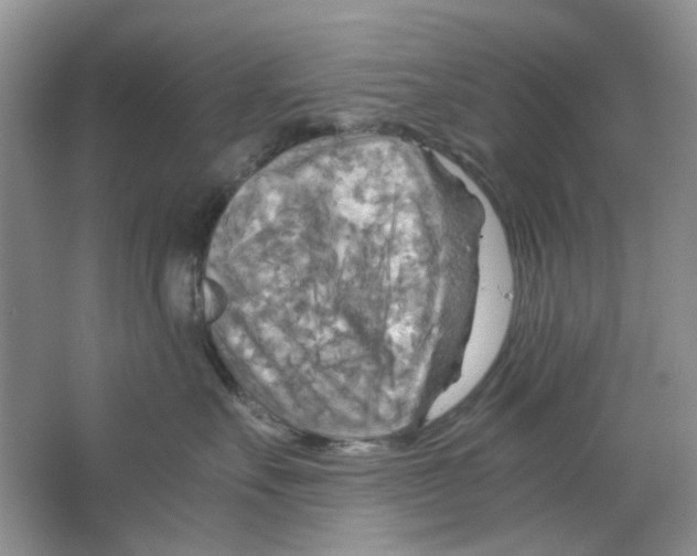 X0000063470527200602171958