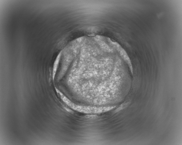 X0000063470528200602171958