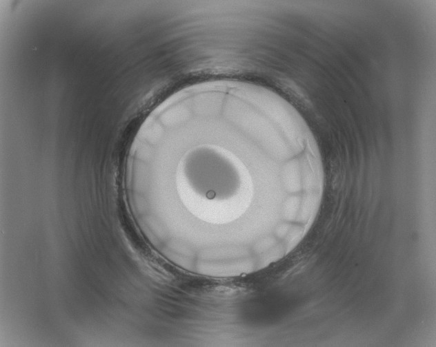 X0000063470542200602171958