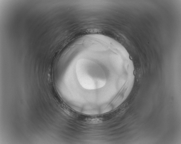 X0000063470553200602171958