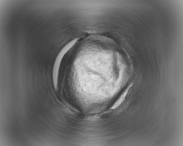 X0000063470576200602171958