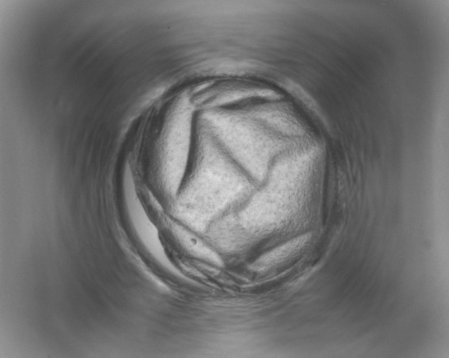 X0000063470581200602171958