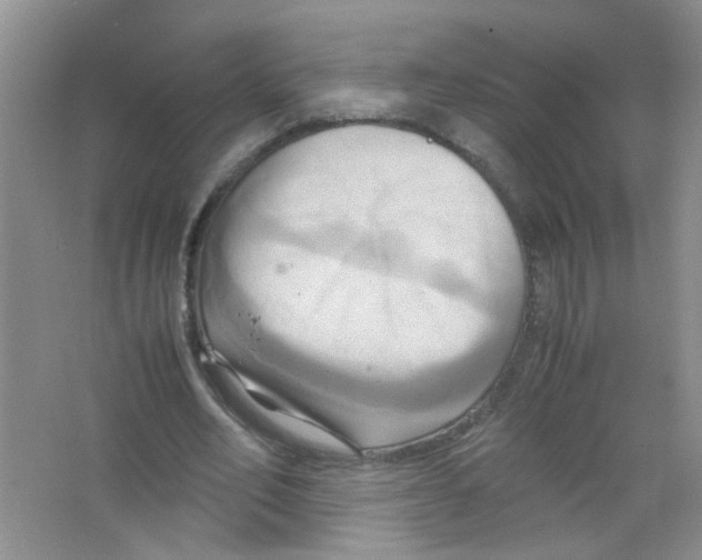 X0000063470582200602171957