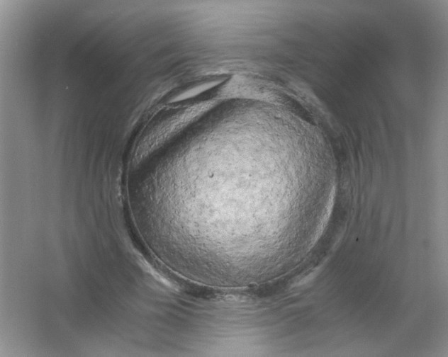 X0000063470585200602171957