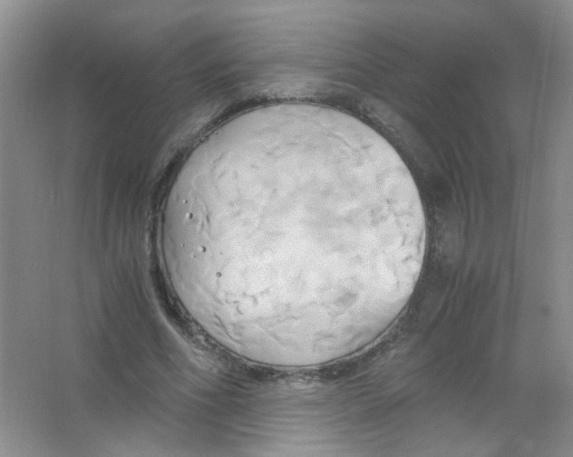 X0000063470586200602171957