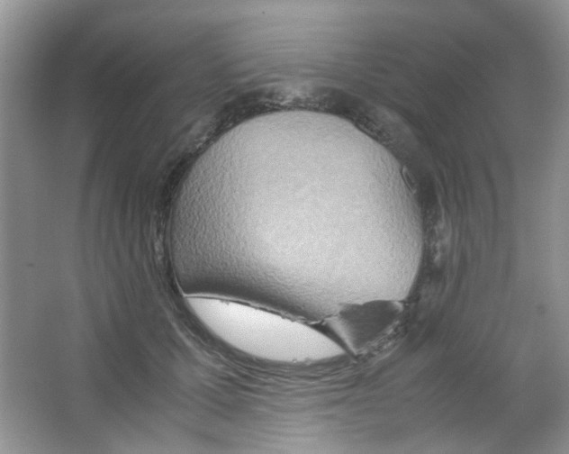 X0000063470607200602171957