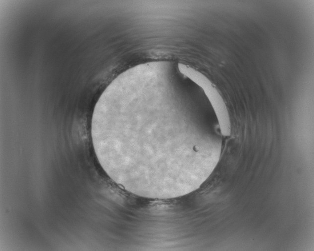 X0000063470620200602171957