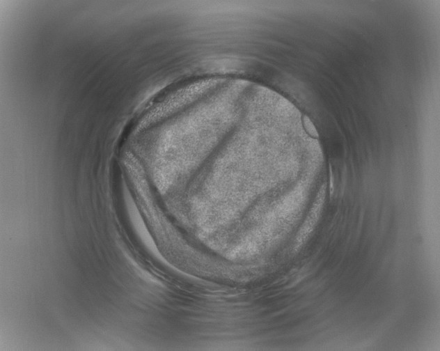 X0000063470627200602171956