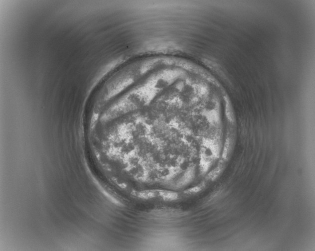 X0000063470630200602171956