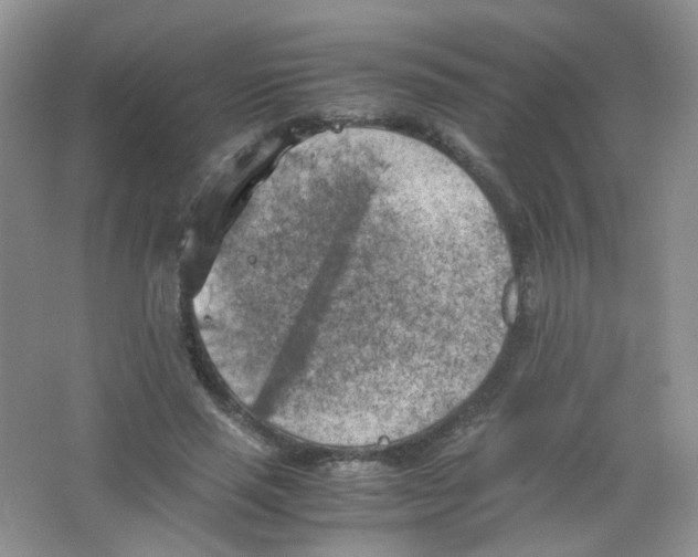X0000063470637200602171956