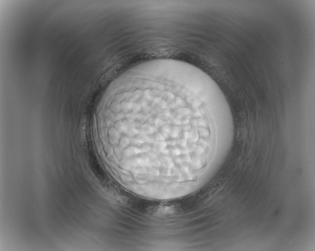 X0000063470647200602171956