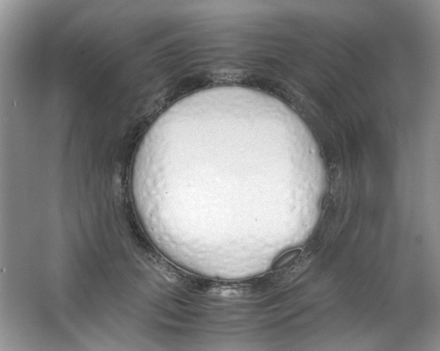 X0000063470655200602171956
