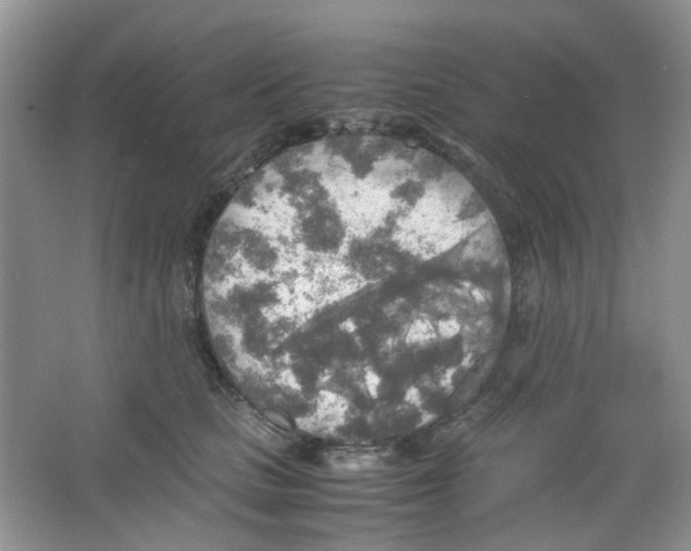 X0000063470661200602171956