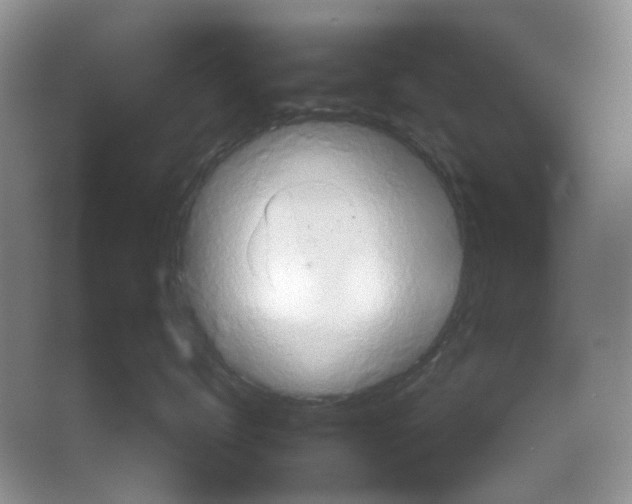 X0000063470672200602171957