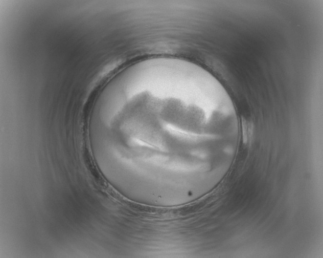 X0000063470675200602171956