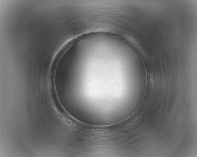 X0000063470676200602171956
