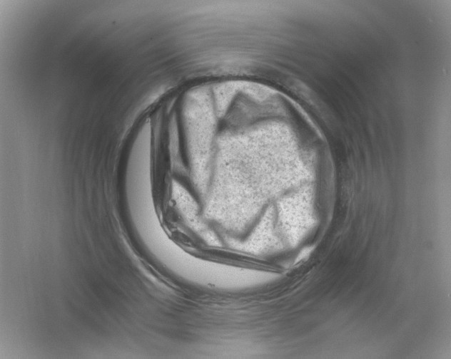 X0000063470677200602171956