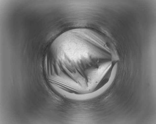 X0000063470681200602171956