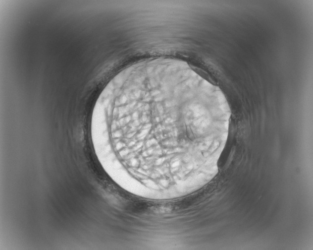 X0000063470687200602171956