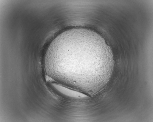 X0000063470688200602171956