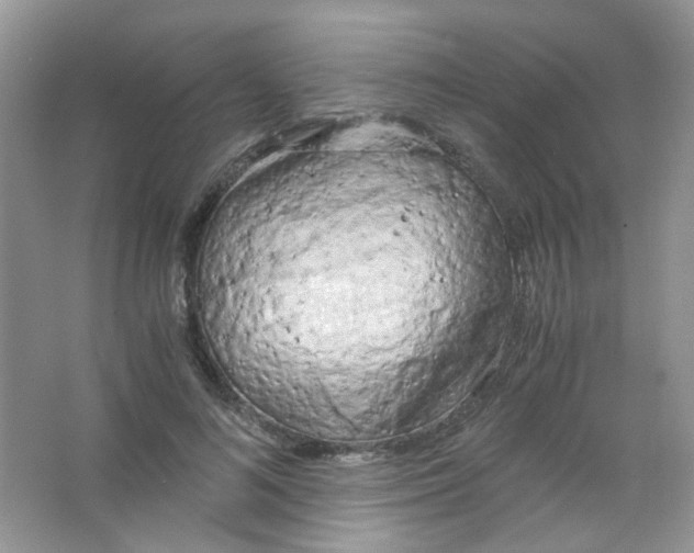 X0000063470692200602171955