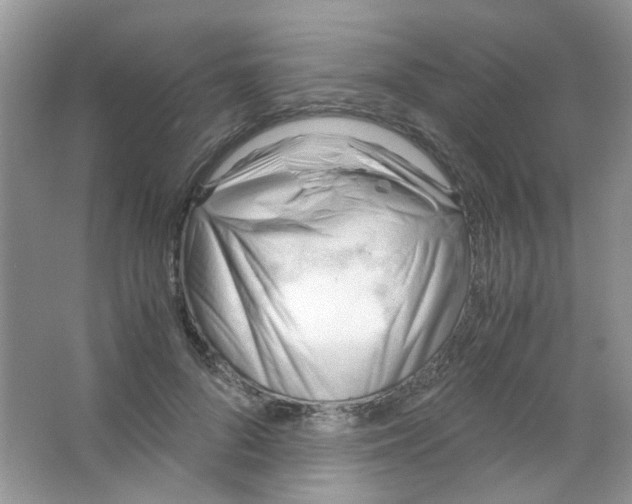 X0000063470696200602171955