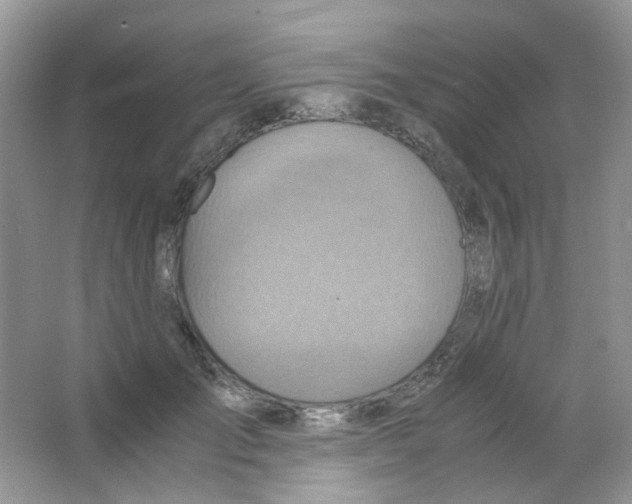 X0000063470701200602171955