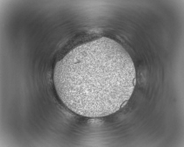X0000063470714200602171955