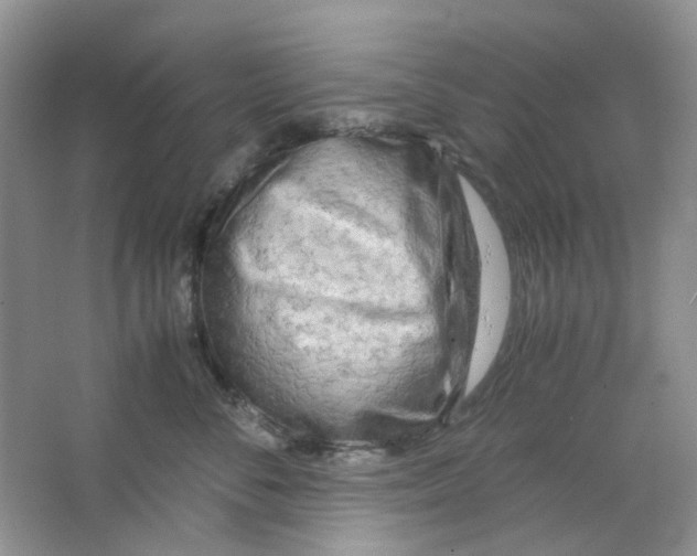 X0000063470716200602171955
