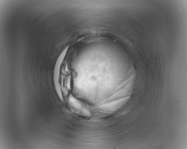 X0000063470720200602171955