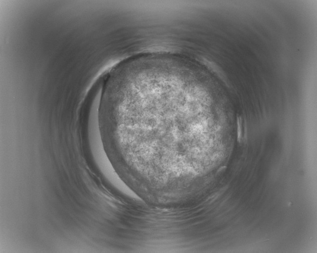 X0000063470723200602171954